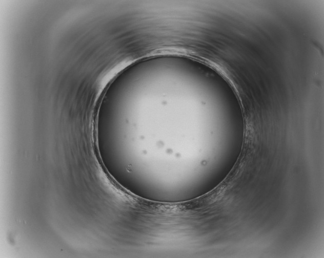 X0000102221003200808011158