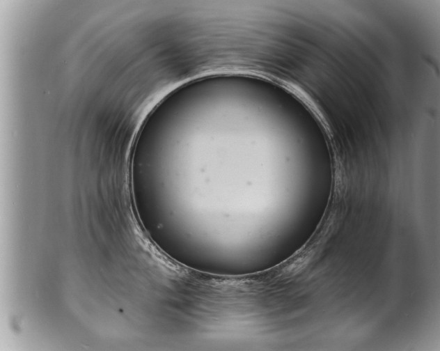 X0000102221004200808011158