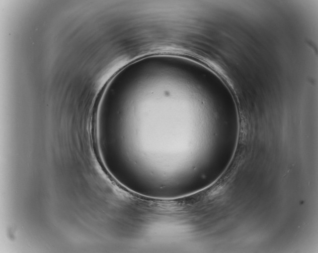 X0000102221007200808011158