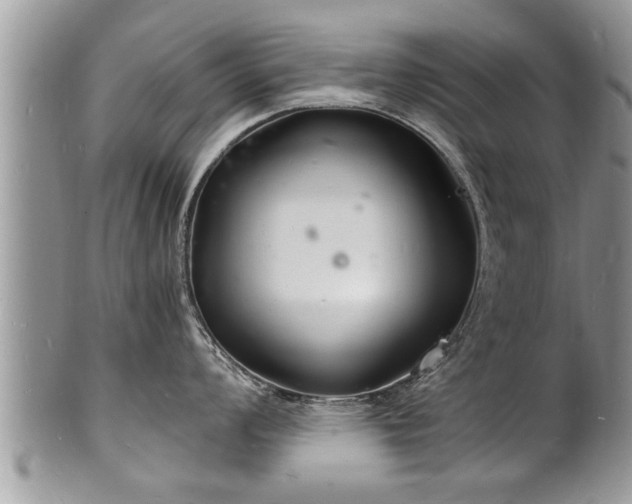 X0000102221008200808011158