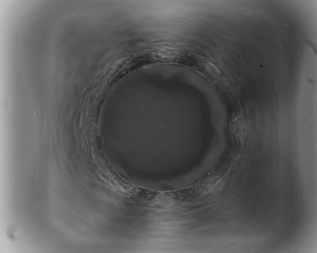 X0000102221009200808011157