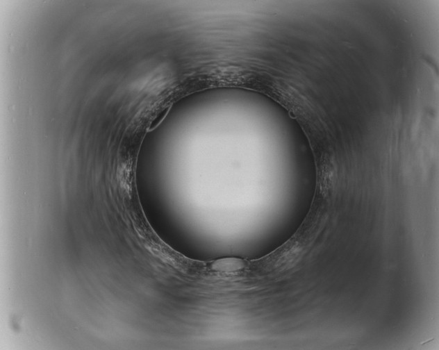 X0000102221010200808011157