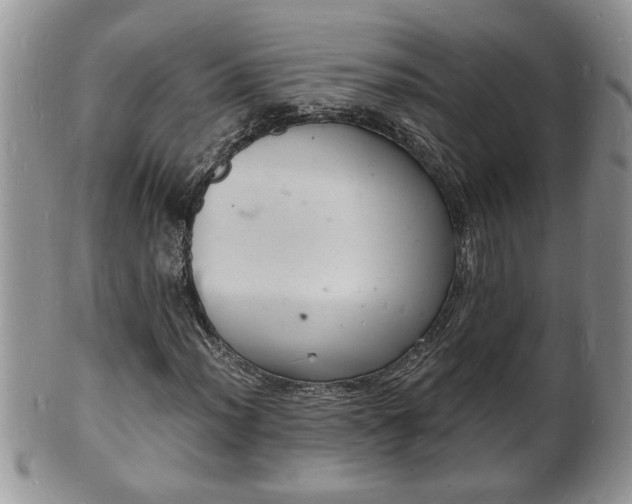 X0000102221012200808011157