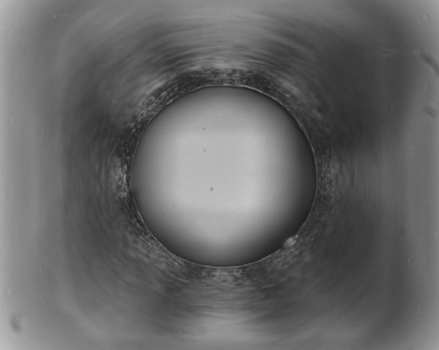 X0000102221013200808011157