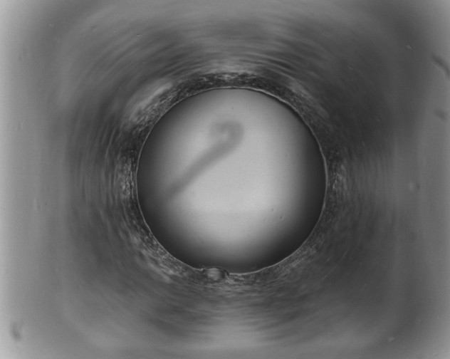 X0000102221014200808011157