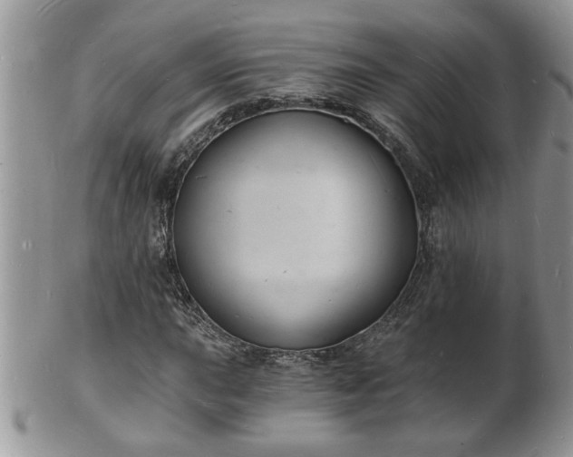 X0000102221015200808011157