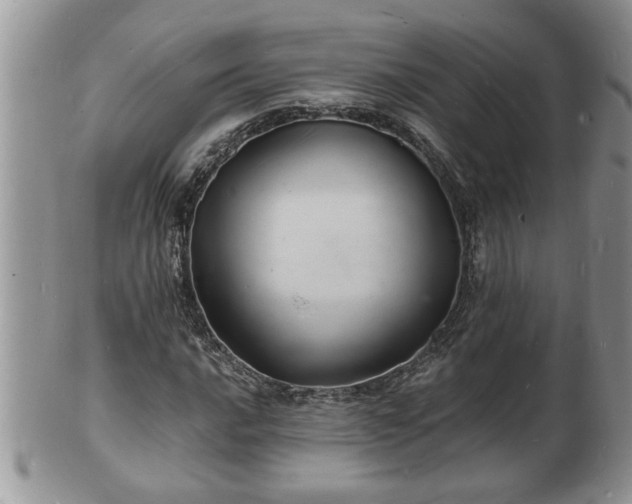 X0000102221016200808011157