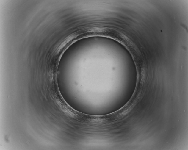 X0000102221017200808011157