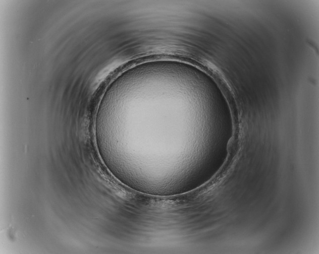 X0000102221019200808011157