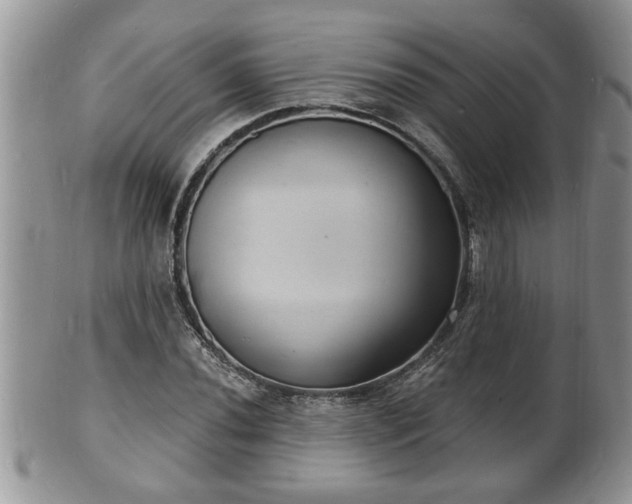 X0000102221020200808011157