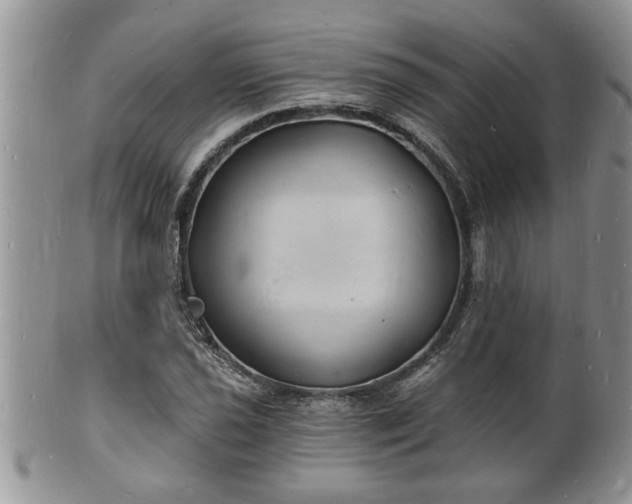 X0000102221021200808011157