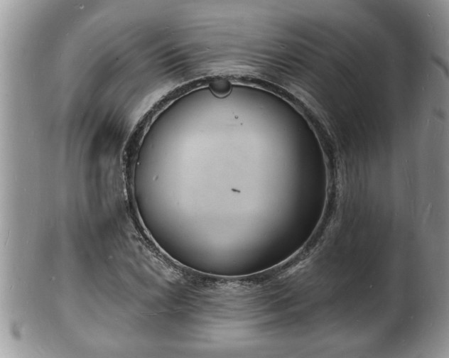 X0000102221022200808011157