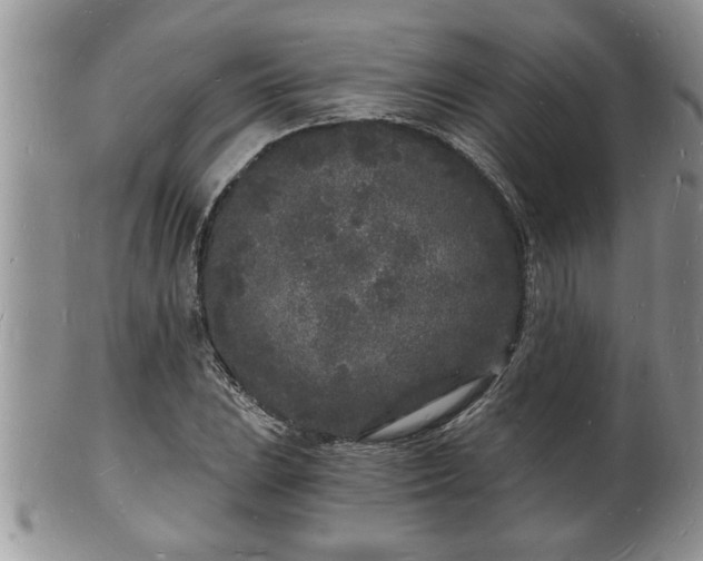 X0000102221023200808011157