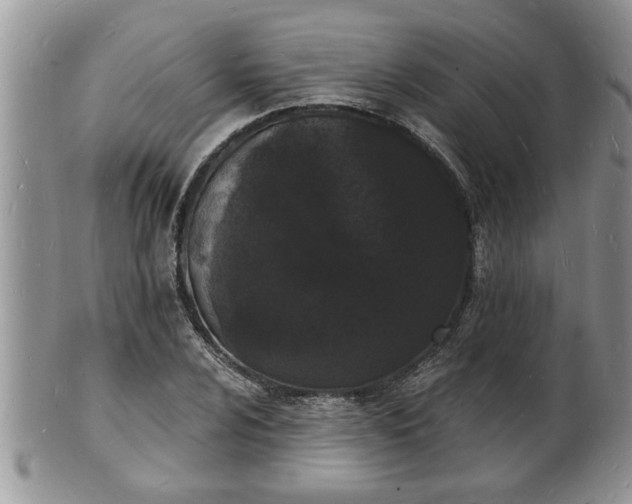 X0000102221024200808011157