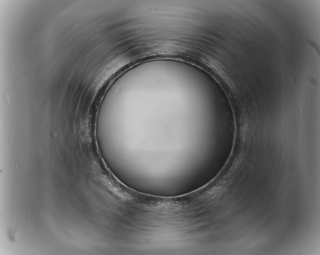 X0000102221026200808011157