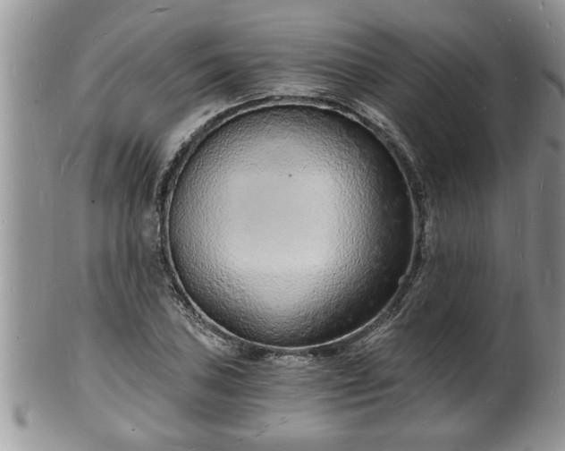 X0000102221027200808011157