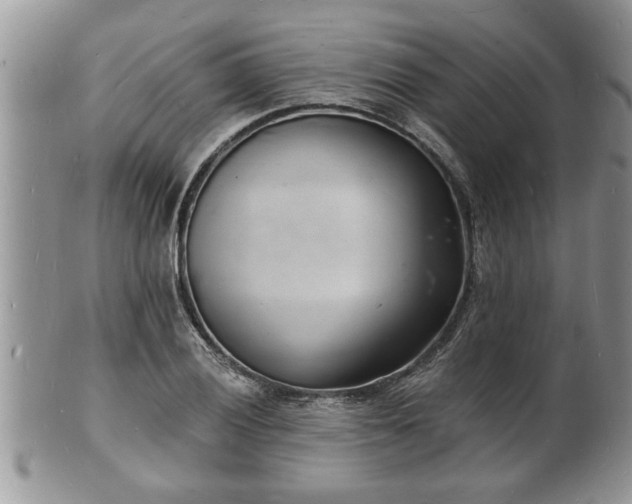 X0000102221028200808011157