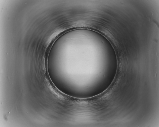 X0000102221030200808011157