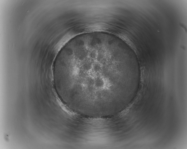 X0000102221031200808011157