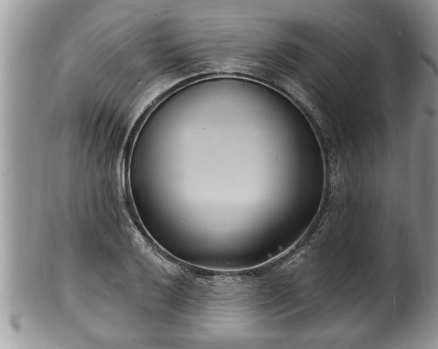 X0000102221032200808011157