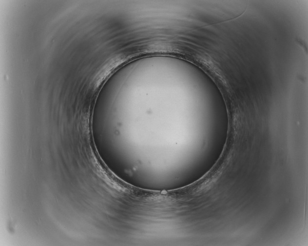 X0000102221033200808011157