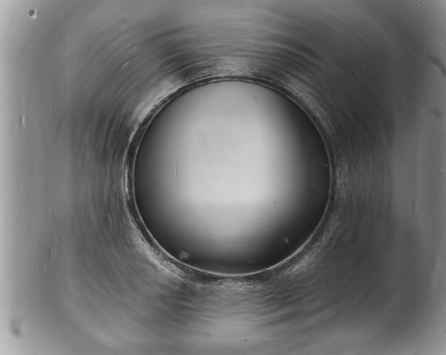 X0000102221034200808011157