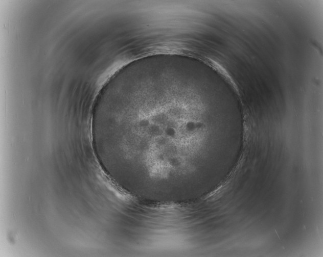 X0000102221035200808011158