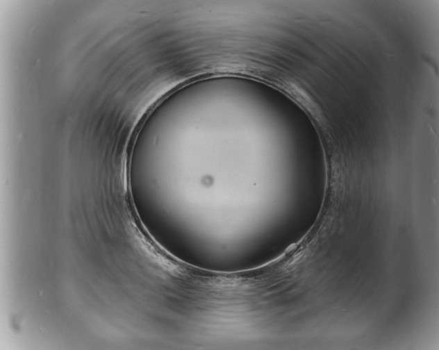 X0000102221036200808011158