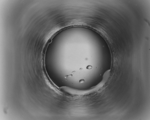 X0000102221038200808011158