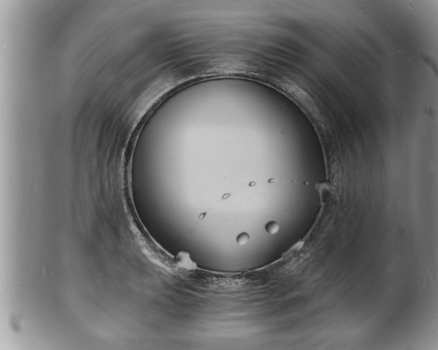 X0000102221039200808011158