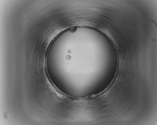 X0000102221040200808011158