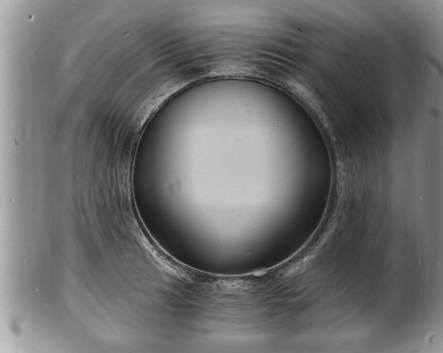 X0000102221041200808011158