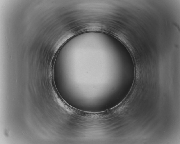 X0000102221042200808011158