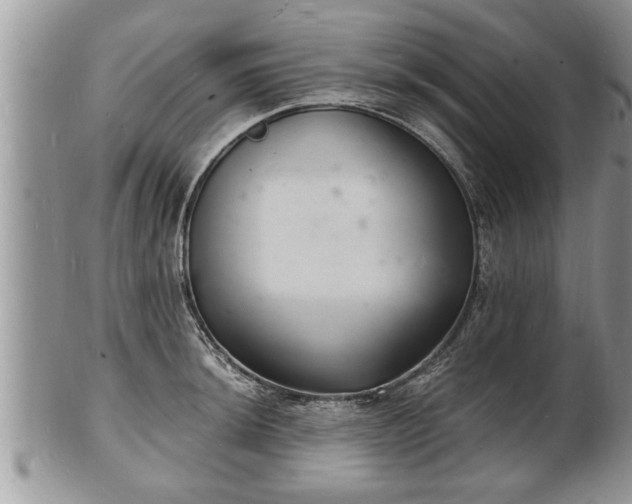 X0000102221044200808011158