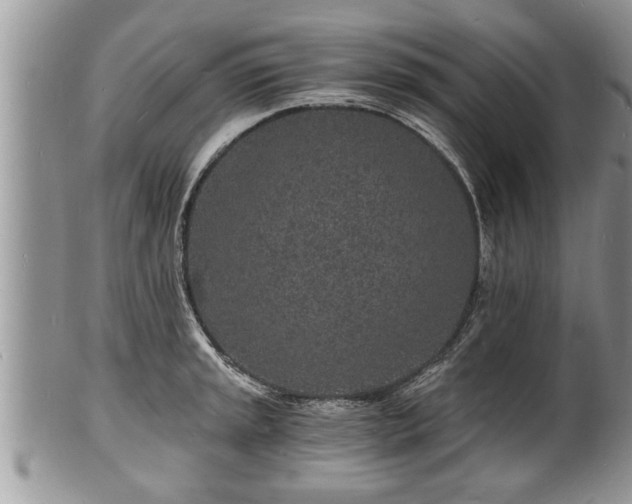 X0000102221045200808011158