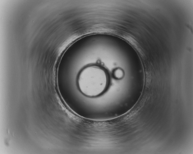 X0000102221046200808011158