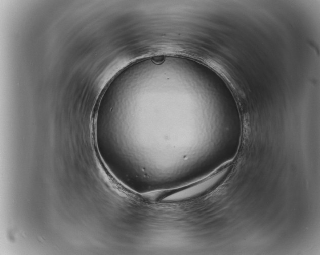 X0000102221047200808011158