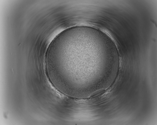 X0000102221048200808011158