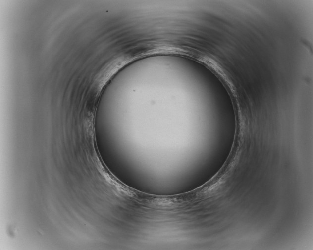 X0000102221049200808011158