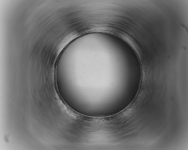 X0000102221050200808011158