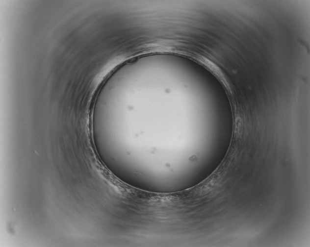 X0000102221051200808011158