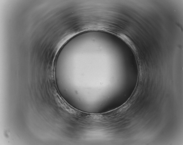 X0000102221052200808011158