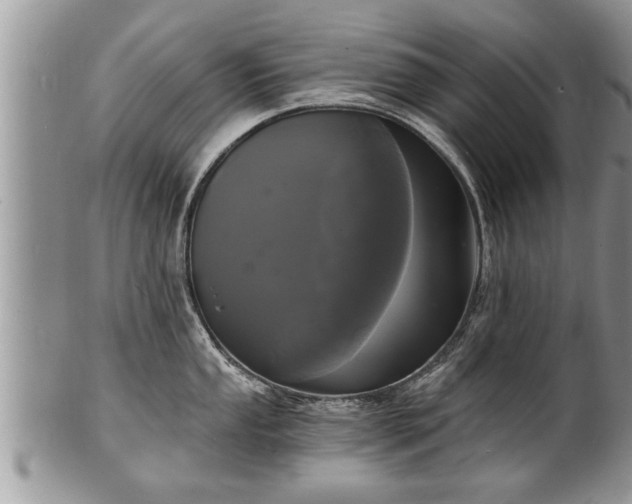 X0000102221053200808011158