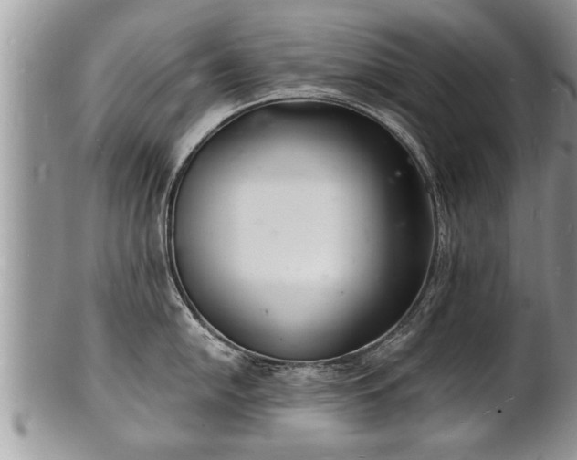 X0000102221054200808011158