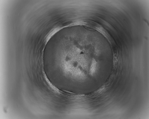 X0000102221055200808011158