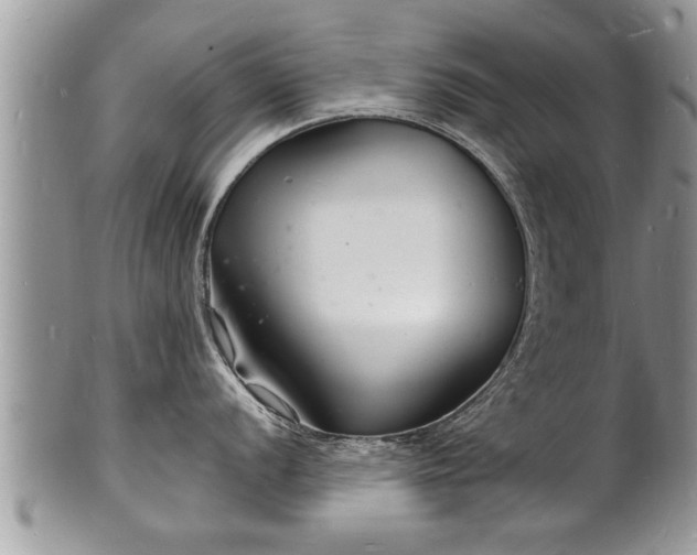 X0000102221056200808011158