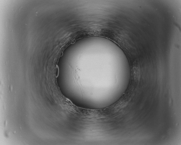 X0000102221057200808011157