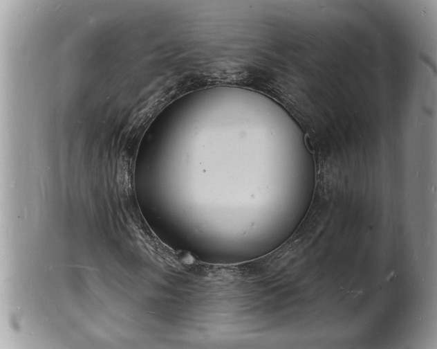 X0000102221058200808011157