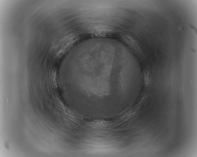 X0000102221060200808011157