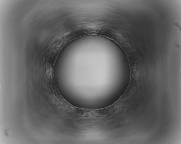 X0000102221061200808011157